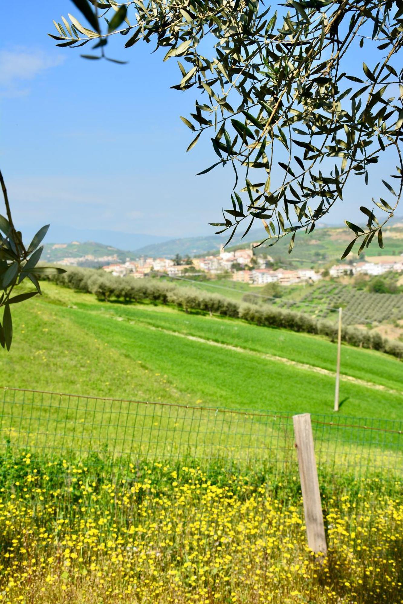 Castilenti Bed And Adventure Tramontana Resort - Camera Vista المظهر الخارجي الصورة